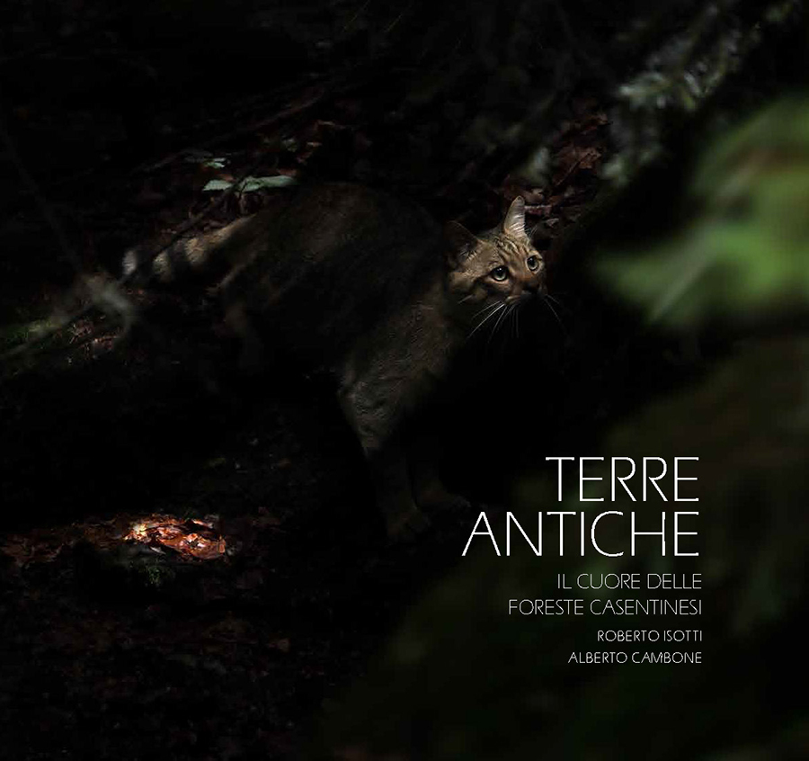 Cover Terre antiche